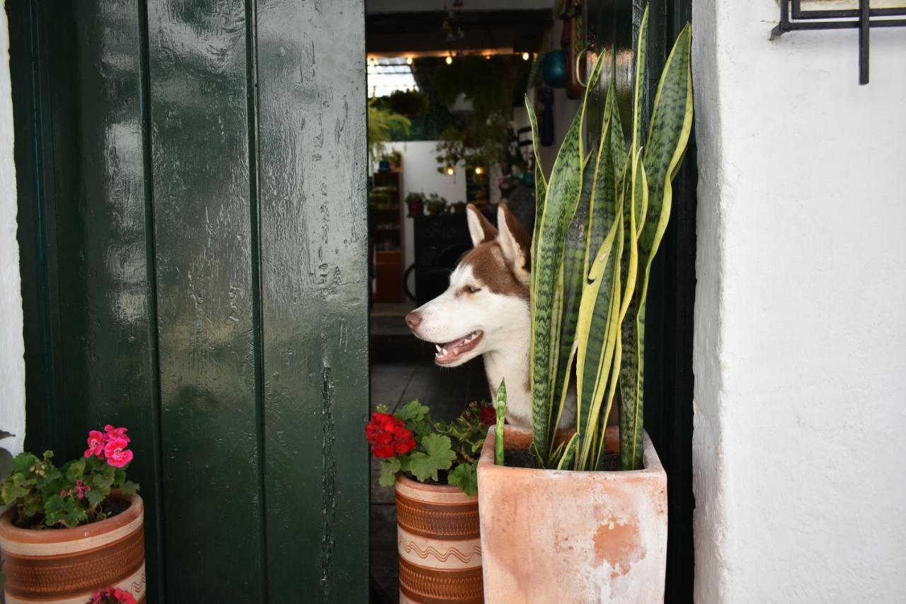 Hospedaje La Casa De Chavela Centro Historico Villa de Leyva Bagian luar foto